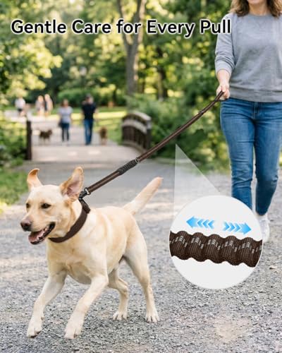 Tactical Bungee Dog Leash (Brown)
