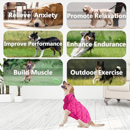 Weighted Dog Vest (Red / Small)