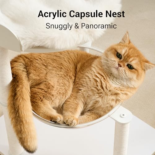 34" Modern Cat Tree Furniture for Indoor Small & Medium Cats (Soft White-34")