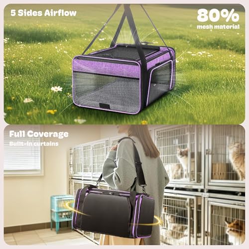 Top and 2 Sides Expandable Cat Carrier 18x13.5x9.5 TSA Airline Approved (Purple / 18.0"L x 13.5"W x 9.5"H)