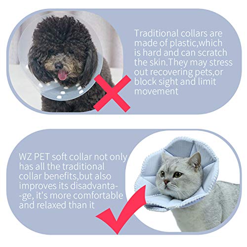 Soft Cat Recovery Collar (Medium / Blue)