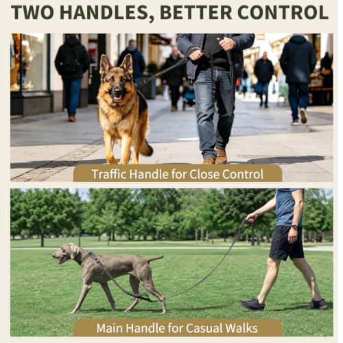 6FT Tactical Heavy Duty Dog Leash No Pull with 2 Padded Handles (Black / 6FT)