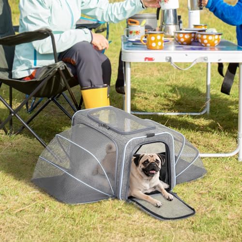 Large Double Expandable Cat Carrier for Large Cats and Small Dogs (19.0"L x 12.0"W x 12.0"H / Light Grey)