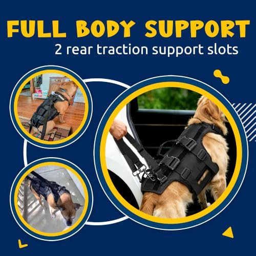 Dog Lift Harness for Rear Leg Support (Black / M)
