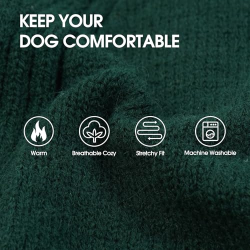 Small Dog Sweater (Green / Large)