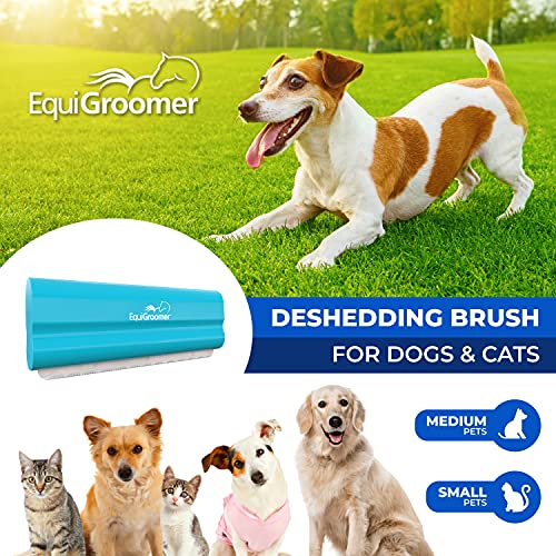 5 Inch Undercoat Deshedding Brush for Dogs & Cats (5 Inch / Turquoise)