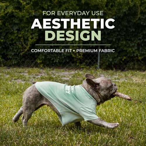 Dog Shirt Head of Security (Green / X-Small)
