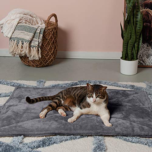 ThermaNAP Self (Large - 36"L x 24"W / Gray)