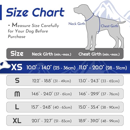 Dog Harness for Small Dogs (X-Small / Blue & Orange)