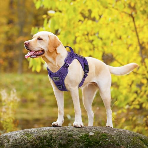 Tactical Dog Harness Medium Sized (M(chest:20.1"-33.9",neck:17.7"-22.3",back:7.5") / Purple)