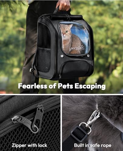 Cat Backpack Carrier (Black / 12.6"L x 10.2"W x 16.5"H)