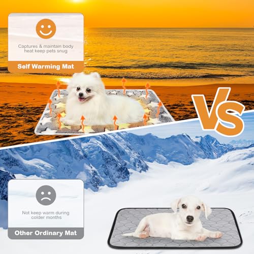 2 Pack Self Warming Cat Bed Self Heating Dog Pad Cat Warming Pad Thermal Pet Mat Washable Reflect Body Heat Removable Cover for Indoor Kittens Puppies Feral Pet (16 x 20 Inch)