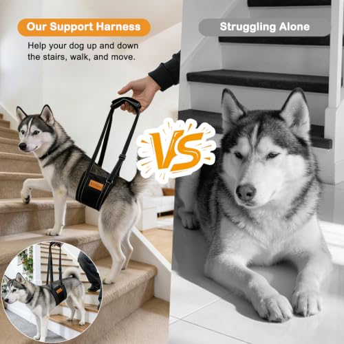 Dog Lift Harness for Large Dogs (L)