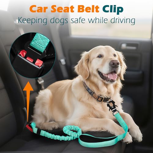 Heavy Duty Tactical Dog Leash (Turquoise)