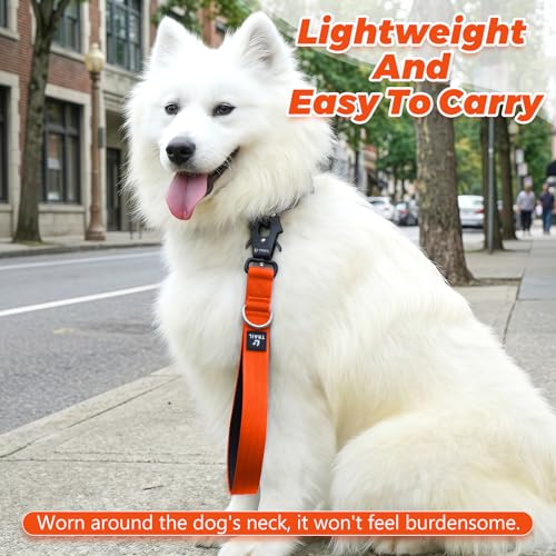 14 Inch Traffic Dog Leash with Padded Handle (Orange)