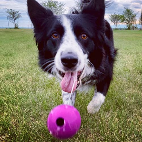 Fetch Balls Extremely Durable Natural Rubber Toy Pack of 3 (3-Pack (3" Balls) - Blue, Purple, Turquoise)