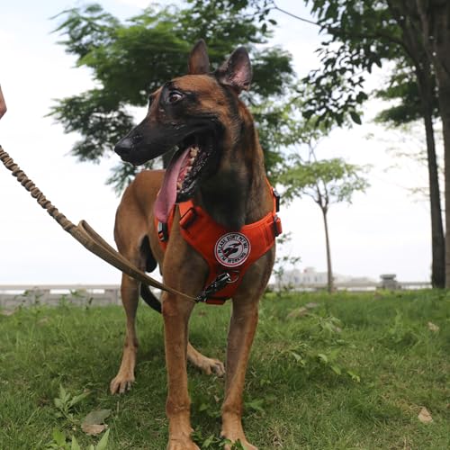 Tactical Dog Harness for Large Dogs (Large (Pack of 1) / Orange)