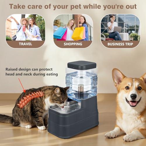 1.6 Gallon Pet Automatic Dog Water Dispenser Cat Gravity Waterer Feeder with Stainless Steel Bowl 8L Large Capacity Puppy Feeding Raised Bowls with Filter (Charcoal Gray / 6L(1.6 Gallon))