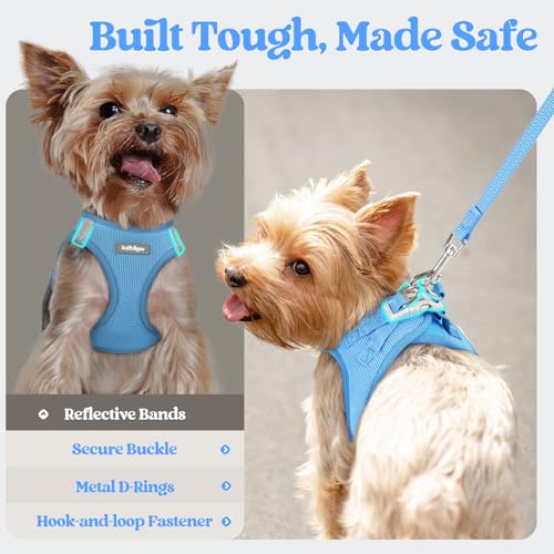 Dog Harness Medium Sized and Leash Set (Blue / Xl (chest: 20 - 21.8"))