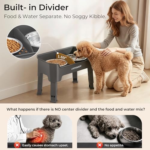 Mess Proof Elevated Dog Bowls (Grey / Small)