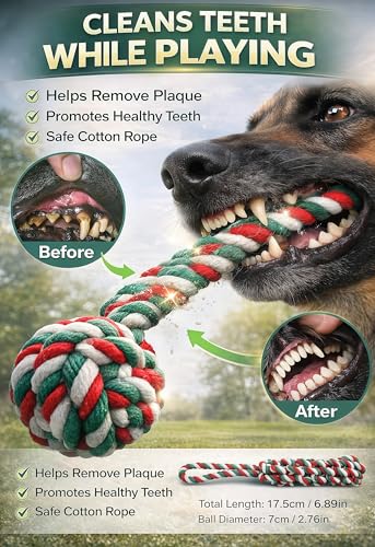 Dog Outdoor Bungee Hanging Toy (1-Blue)