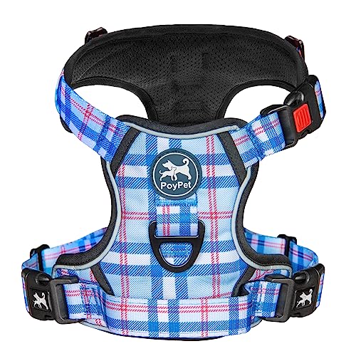 Plaid Dog Harness Large (L / Checkered Blue & Red)