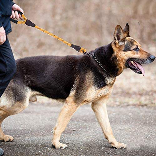 Nylon Traffic Leash with Padded Handle (Rope-Orange)