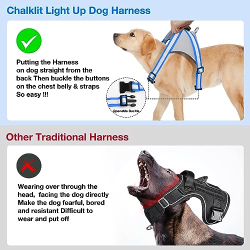 Light Up Dog Harness (Large / Blue)