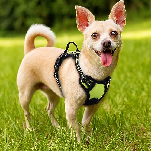 Dog Harness No Pull with 2 Leash Clips (X-Small / Wild Lime)