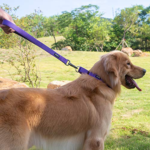 Short Dog Leash 18" (Ultra Violet / 18 Inches)