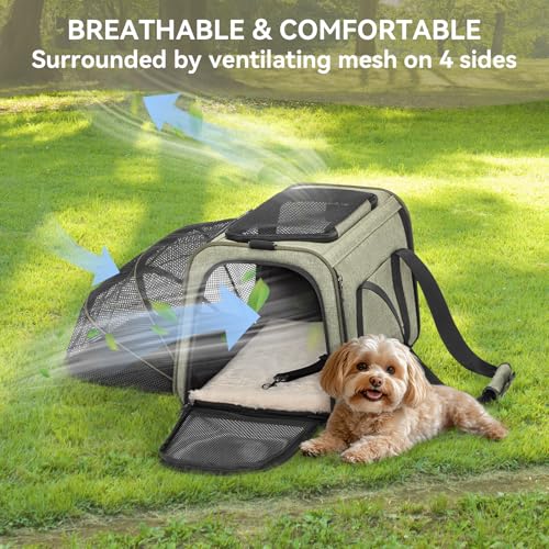 Medium Expandable Cat Carrier for Air Travel (17.0"L x 11.0"W x 11.0"H / Green)
