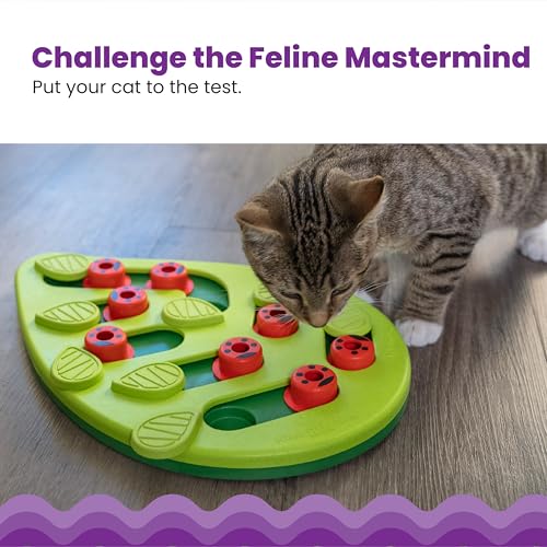 Nina Ottosson Buggin’ Out Puzzle & Play Cat Toy Treat Puzzle (Buggin Out / Treat Puzzle)