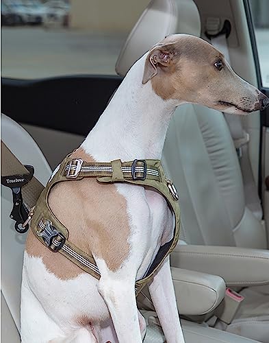Truelove Lightweight Dog Car Seatbelt Safety Buckle Lock (Unisize / Steel Gray)