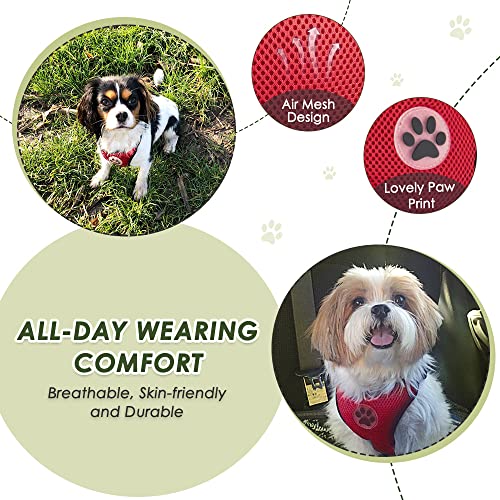 Dog Seat Belt and Harness for Car (Red / Small)