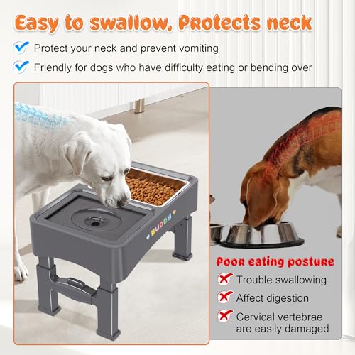 2-in-1 Elevated Dog Bowls with 4 Height Adjustable Raised Stand (2-in-1 Grey)