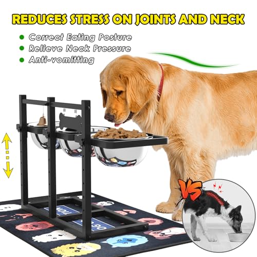 Elevated Dog Bowl Stand for Medium (Black & Blue & Red / Large Dogs)