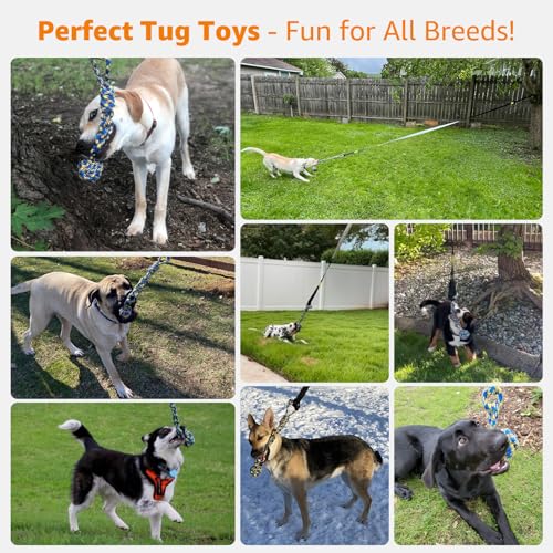 Outdoor Bungee Tug Toy (Blue)