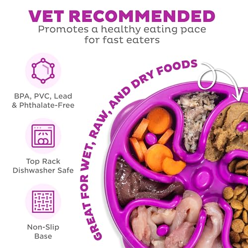 Fun Feeder Slo Bowl (Purple / Medium)