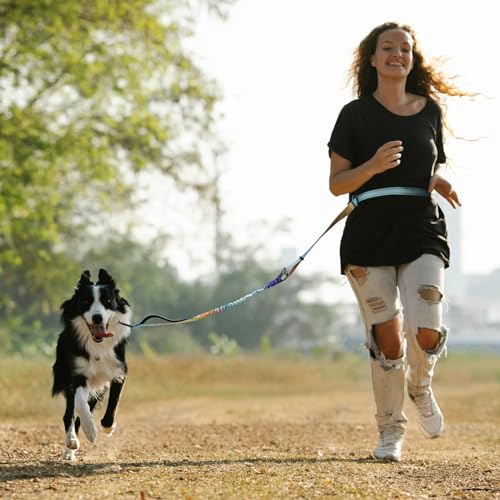 Hands Free Dog Leash for Medium Large Dogs Heavy Duty (Azure)