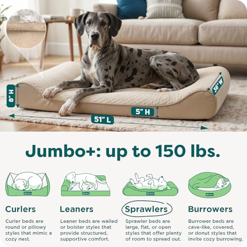 Orthopedic Dog Bed for Large Dogs (Jumbo Plus/XXL / Cream)
