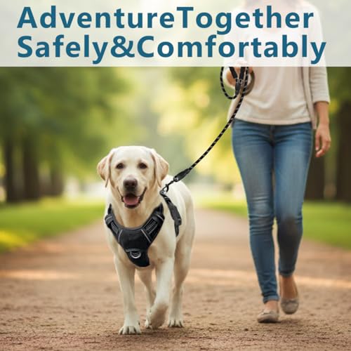 Dog Harness No Pull with ID Tag Pocket (Large(Chest:24.5-32.5") / Black)