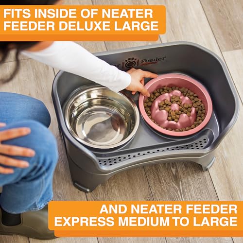 The Niner Slow Feed Bowl (Pink / 2 Cup)