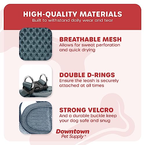 Step in Dog Harness for Small Dogs No Pull (X-Small / Titanium)