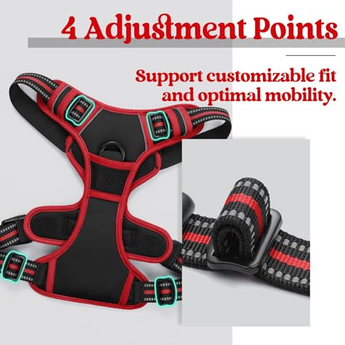 Dog Harness No Pull for Large Dogs with 2 Leash Clips (Large / Black & Red)