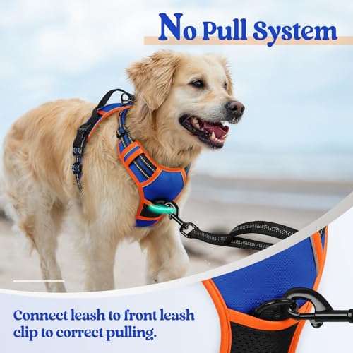 Dog Harness No Pull for Large Dogs with 2 Leash Clips (Large / Blue & Orange)