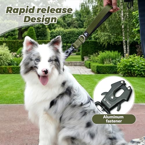 14 Inch Traffic Dog Leash with Padded Handle (Army Green)