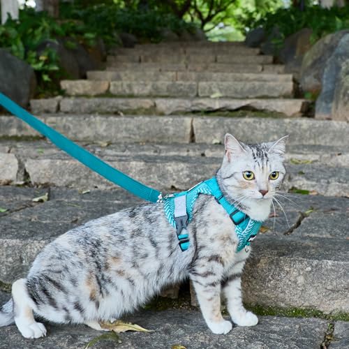 Cat Harness and Leash Set (Turquoise / Medium)