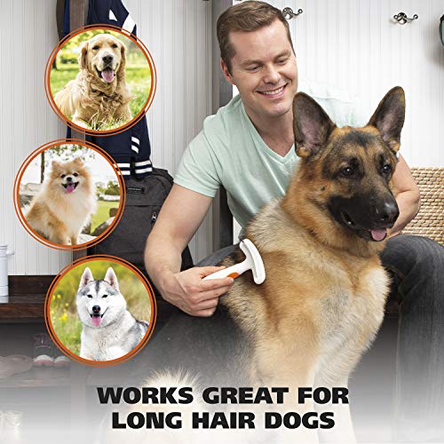2-in-1 Combination Double Row Pet Rake with Hair Shedding Blade (1 Count (Pack of 1))