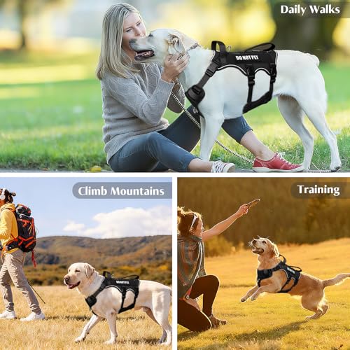 Escape Proof Dog Harness with Double Handle+4 Removable Patches (X-Large / Black)