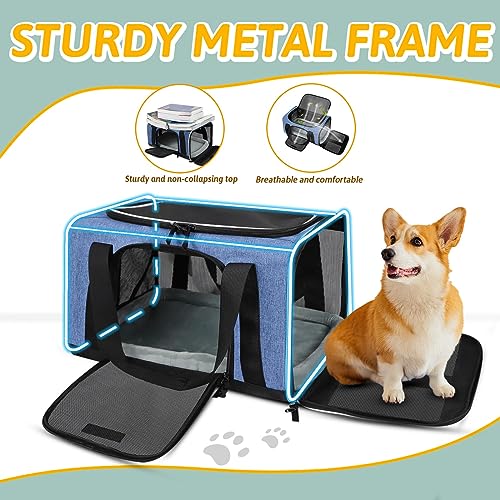 Small Pet Carrier 17" L x 11" W x 9.5" H Airline Approved (17.0"L x 11.0"W x 9.5"H / Blue)